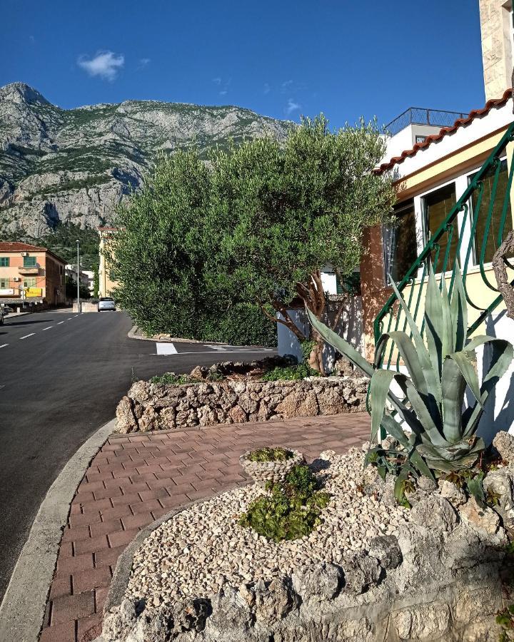 Family Apartment Vitlic Makarska Dış mekan fotoğraf